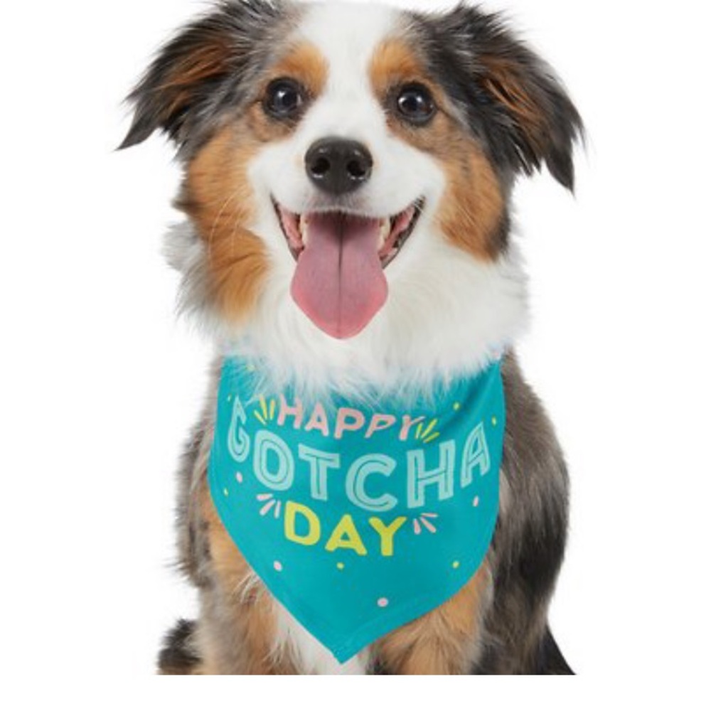 XS/S Frisco Happy Gotcha Day Pet Bandana